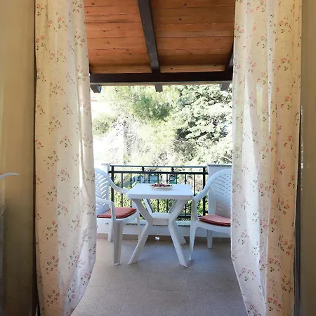 Svoboda 4 *